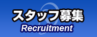 スタッフ募集 recruitment